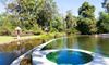 Picture of Sinouk Coffee Resort