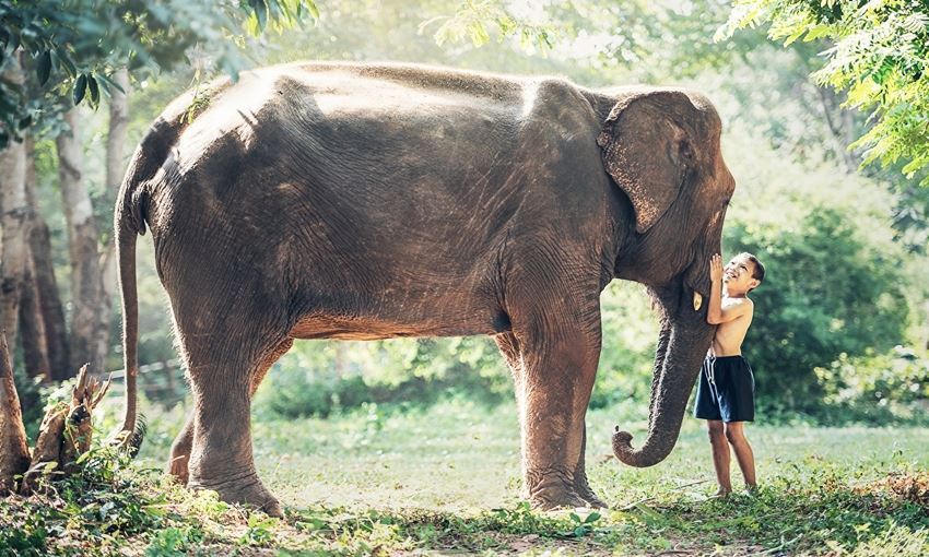 Picture of Expériences locales au Laos en 9 jours
