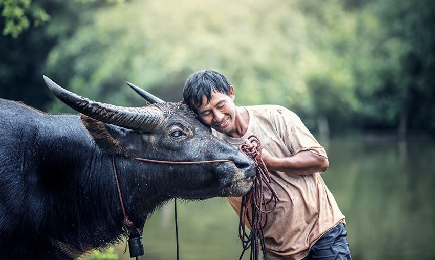 Picture of Splendeurs du Nord Laos en 10 jours