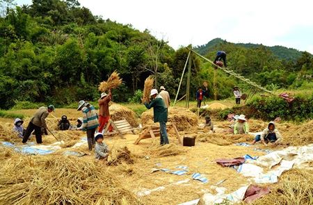 Show tours in category Phongsaly: La plupart de productions agricoles sont exportées vers les marchés chinois Picture for category Phongsaly: La plupart de productions agricoles sont exportées vers les marchés chinois