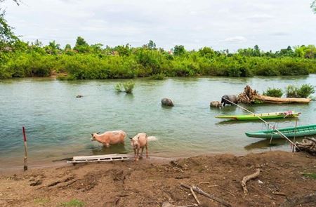 Picture for category Découvrez 4000 Îles | Paisible région au Sud du Laos